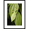 Framed Photographic Print 30x22 I324