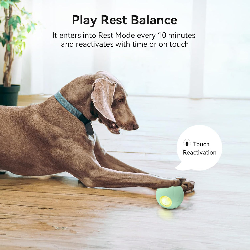 Smart Interactive Dog Toy, Automatic Moving Bouncing Rotating Ball with Lights M772