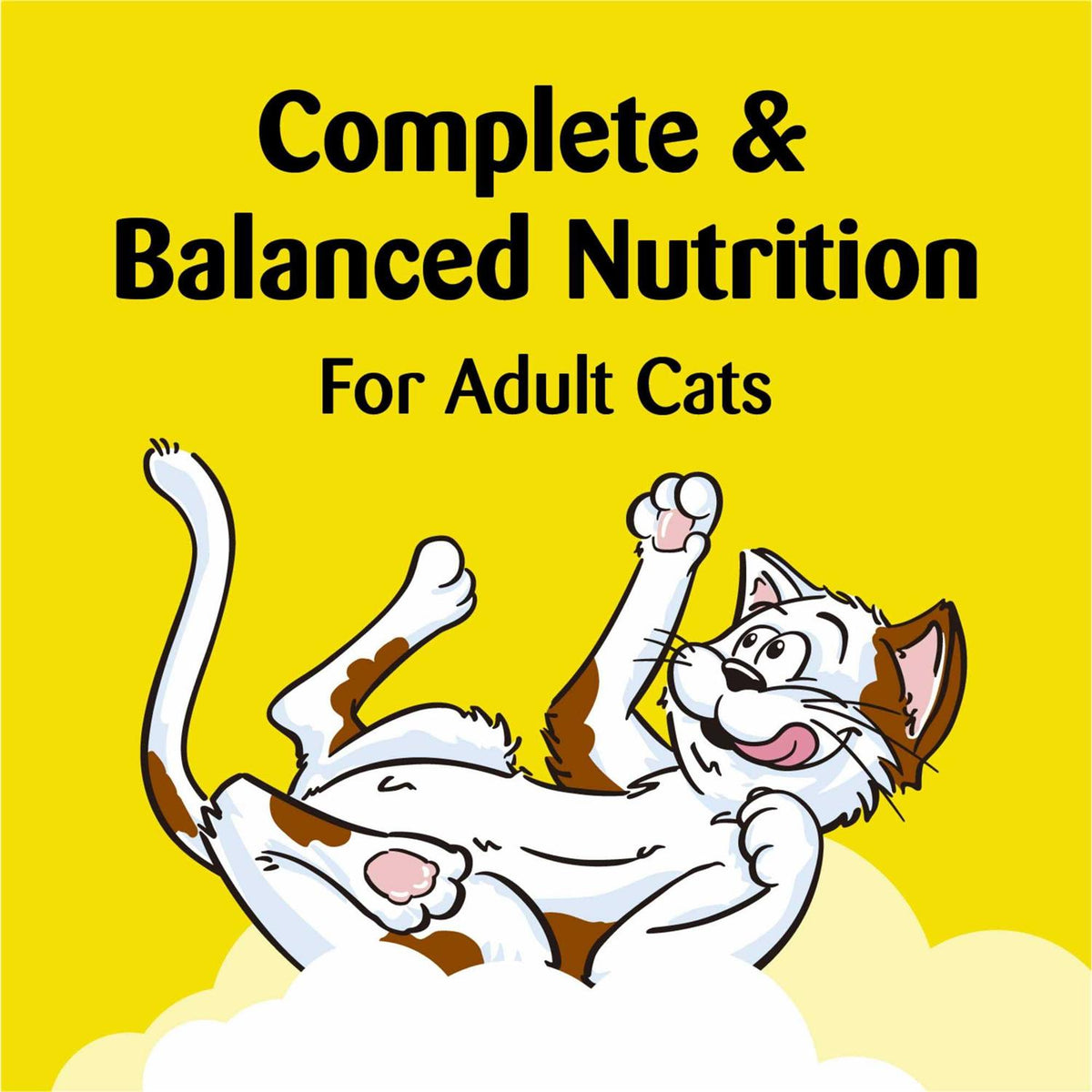Catnip Flavor Cat Treats J60723
