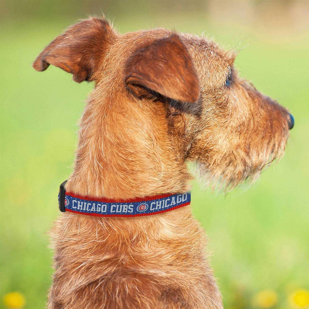 Chicago Cubs Dog Collar Q806