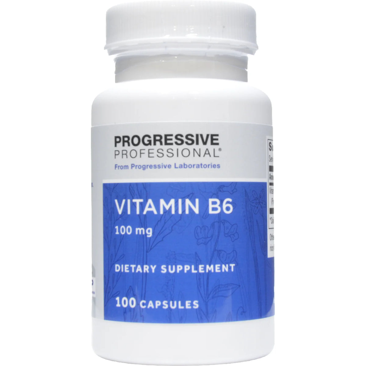 Vitamin B6 100 mg 100 caps I2234