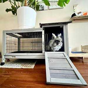 Rabbit Hutch Bunny Cage Guinea Pig House with Wheels G741