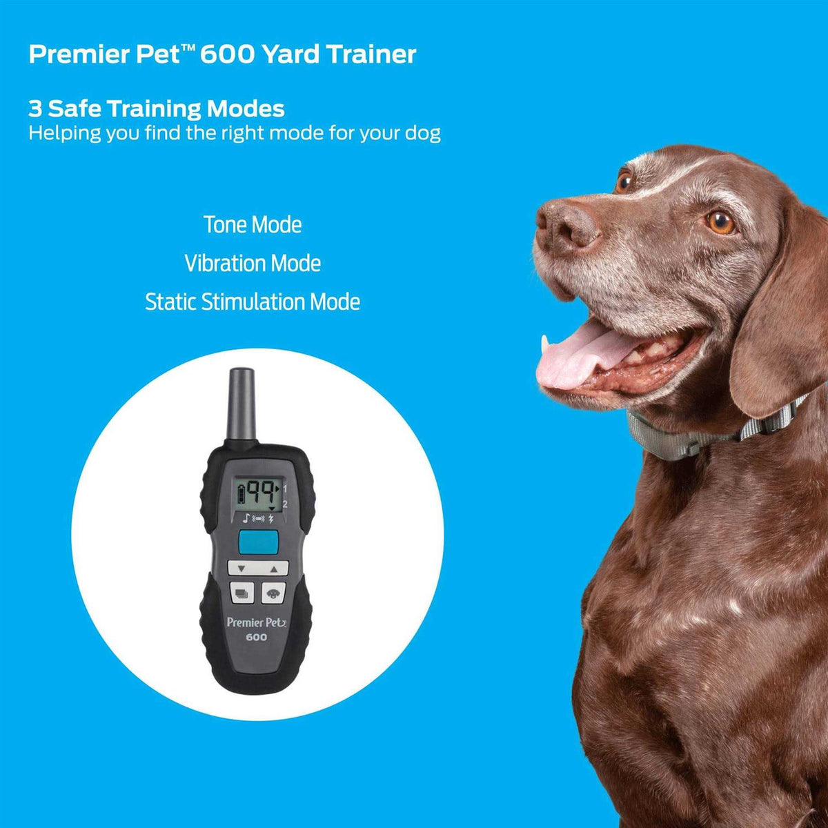 Remote Trainer A6381