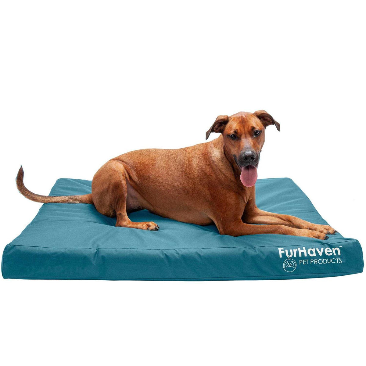 Dog Bed I269