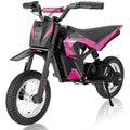 24V Electric Dirt Bike S2738