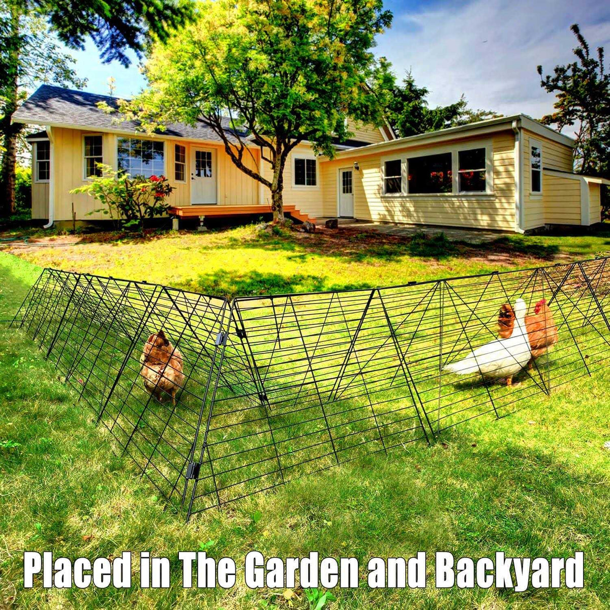 Chicken Tunnels for Yard L38775