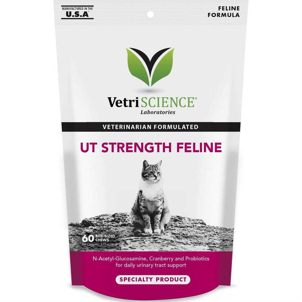 Feline Pet Supplies I524578