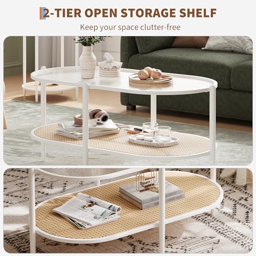 37" Rattan Oval Coffee Table, 2-Tier Storage Shelf Metal Frame B128