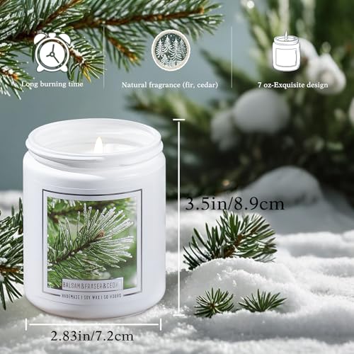 Balsam Fir Scented Candle Q63461
