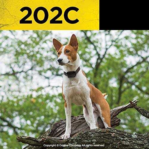 Remote Training Collar 2-Dog C57158