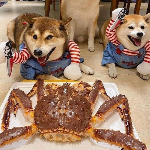 Dog Scary Transformation Costume with Wig D772
