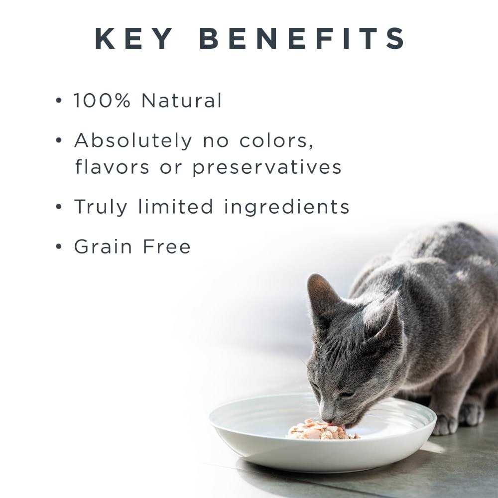 Grain Free Tuna Fillet Broth Wet Cat Food L33764