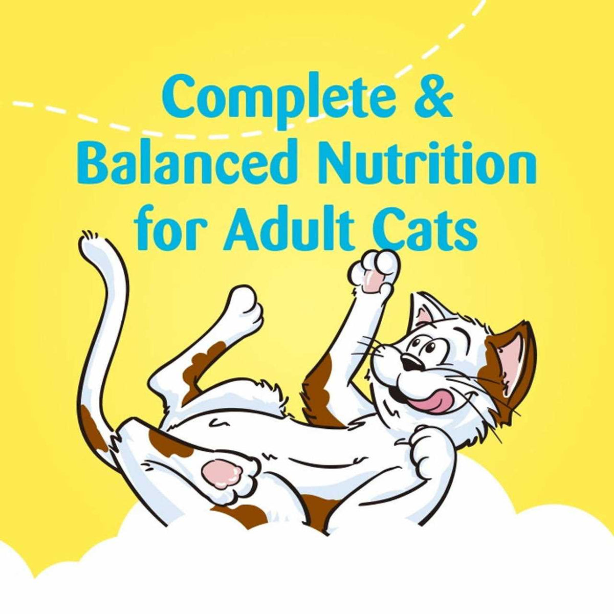 Catnip Flavor Cat Treats J60723