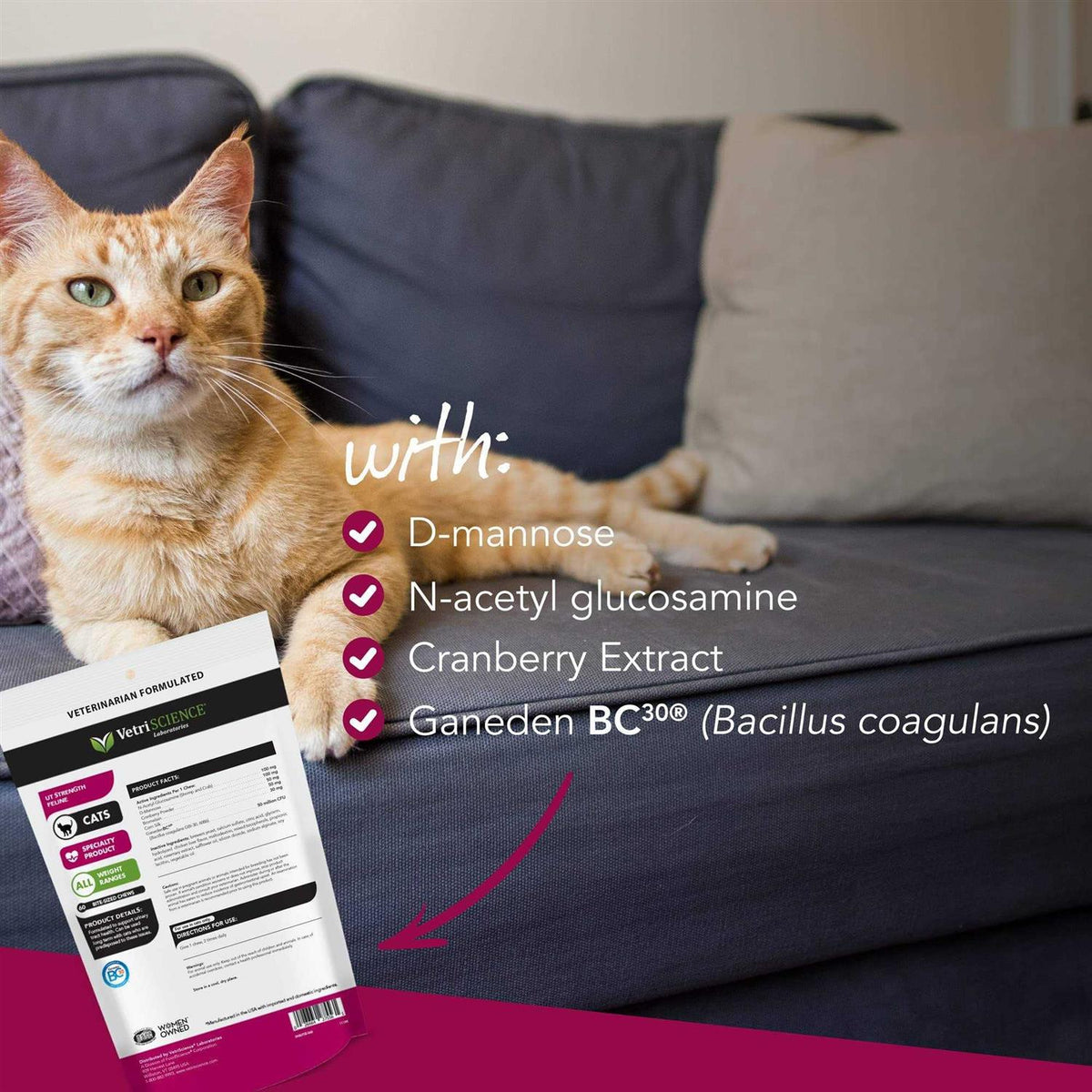Feline Pet Supplies I524578