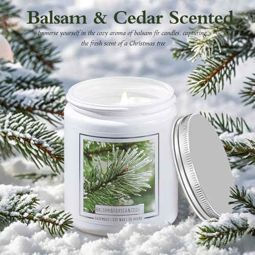 Balsam Fir Scented Candle Q63461