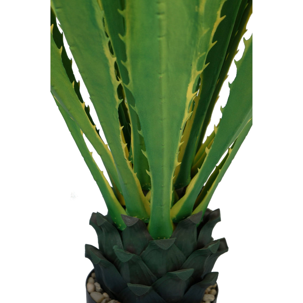 Real Touch Agave Plant Y171822