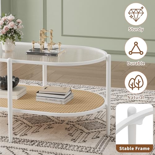 37" Rattan Oval Coffee Table, 2-Tier Storage Shelf Metal Frame B128